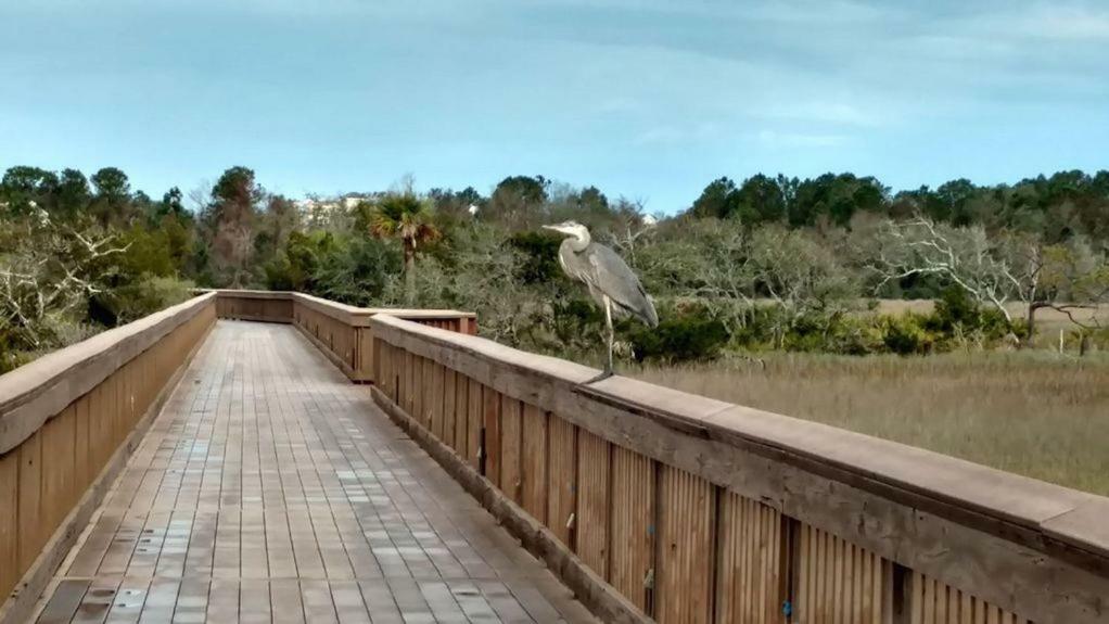 Hilton Head Resort Гілтон-Гед-Айленд Екстер'єр фото